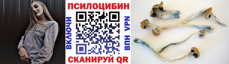 Псилоцибиновые грибы ЛСД  цены   Демидов 